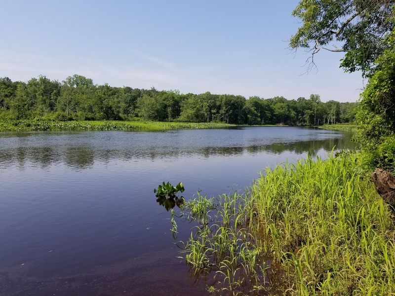 Creek Routes and Changing Habitats Creek Routes and Changing Habitats