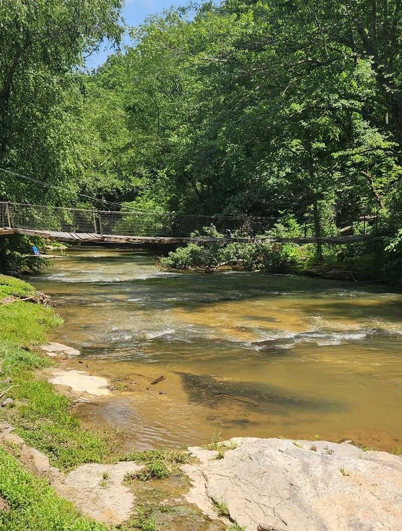 Creek Swims and Quiet Trails