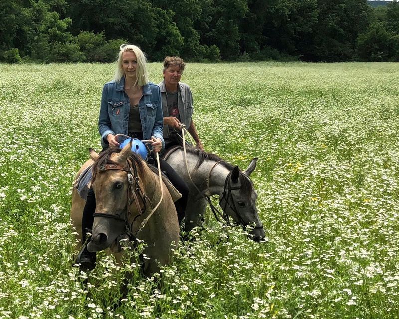 Creeks, Meadows, and Wildflower Fields