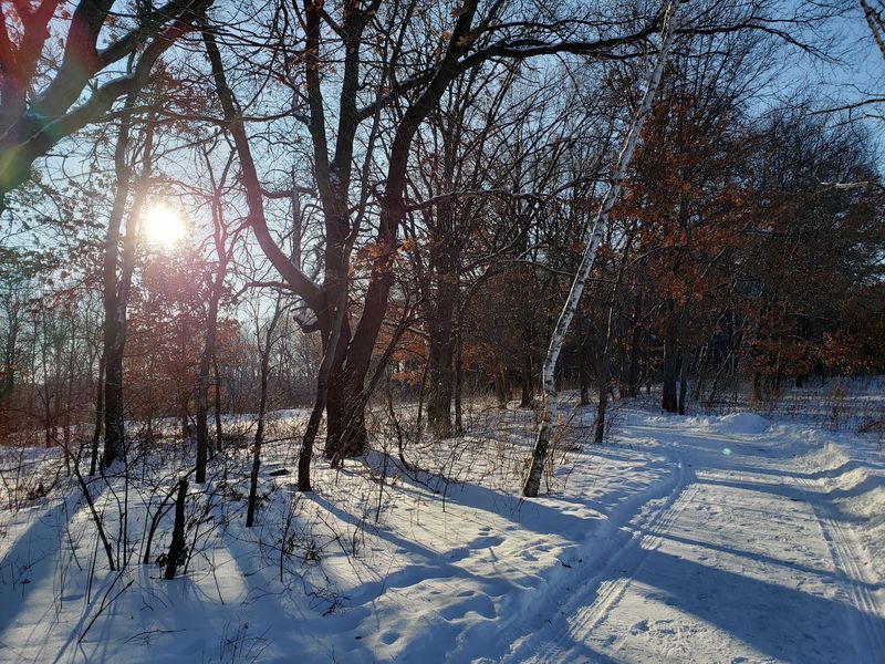 Cross-Country Skis and a Sledding Hill Cross-Country Skis and a Sledding Hill