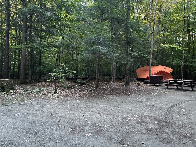 DAR State Forest, Goshen, MA