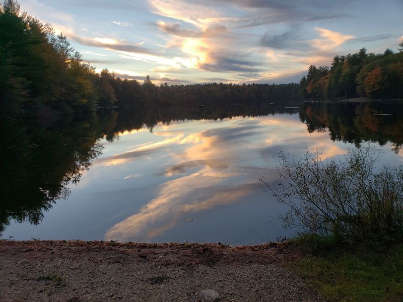 DAR State Forest, Goshen, MA