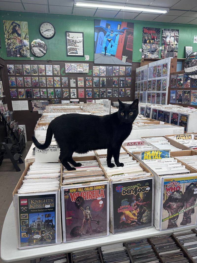 Dark Star Books & Comics Dark Star Books & Comics