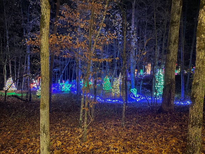 Dark Woods Christmas Lights