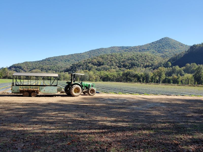 Darnell Farms, Bryson City, NC