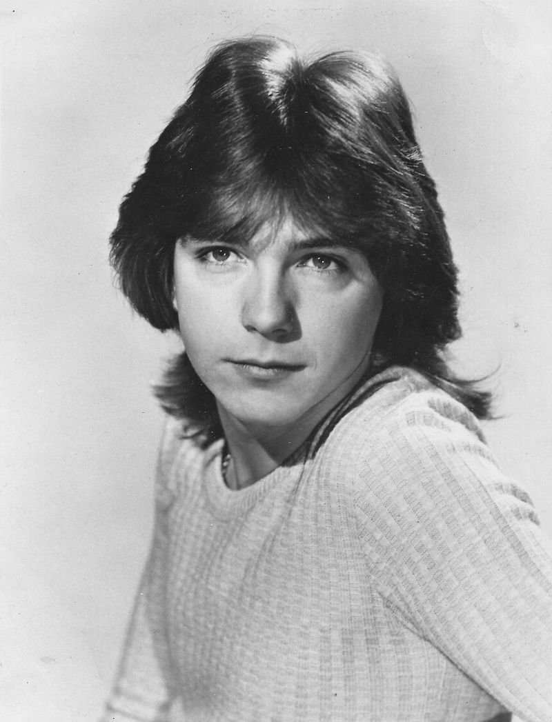 David Cassidy - The Partridge Family (1970-1974) David Cassidy - The Partridge Family (1970-1974)