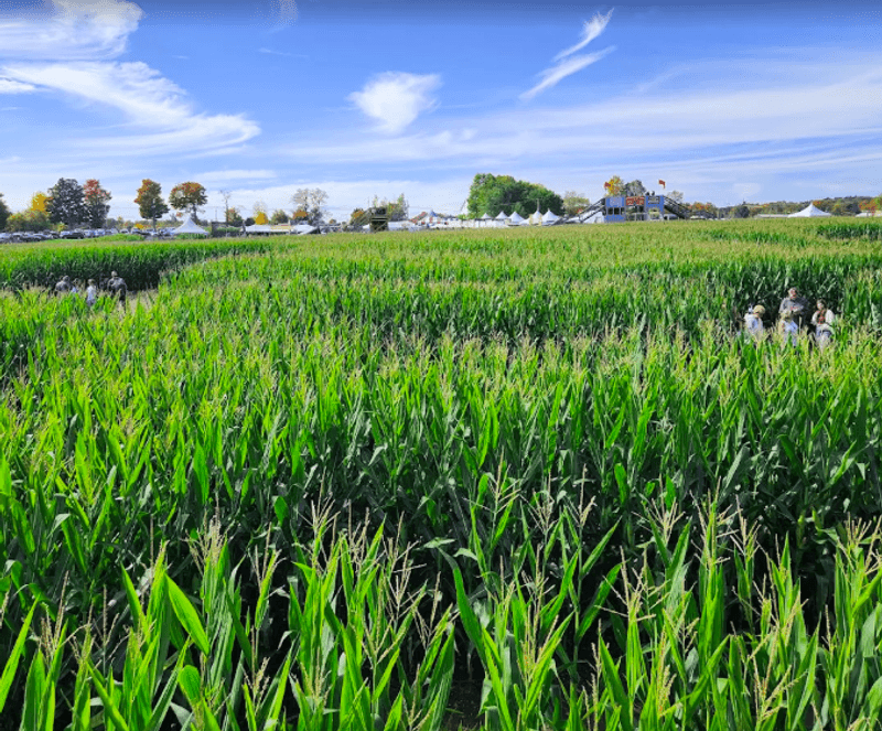 Davis Farmland