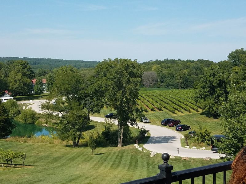 Defiance Ridge Vineyards, Defiance, Missouri Defiance Ridge Vineyards, Defiance, Missouri