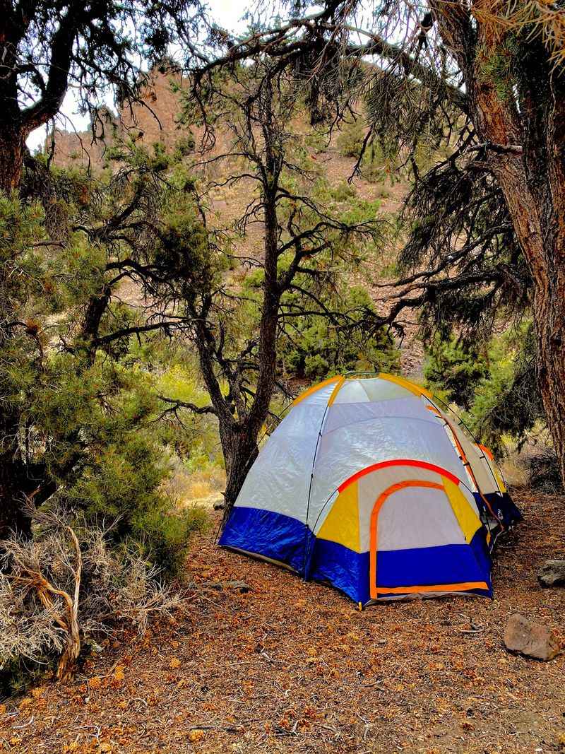 Desert Creek Campground - Wellington area