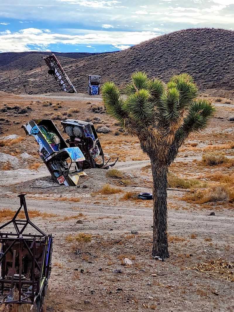 Desert Quiet and Wildlife