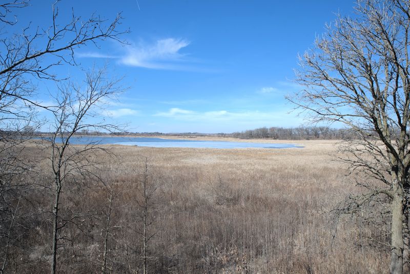 Dick Young Forest Preserve, Illinois, Batavia