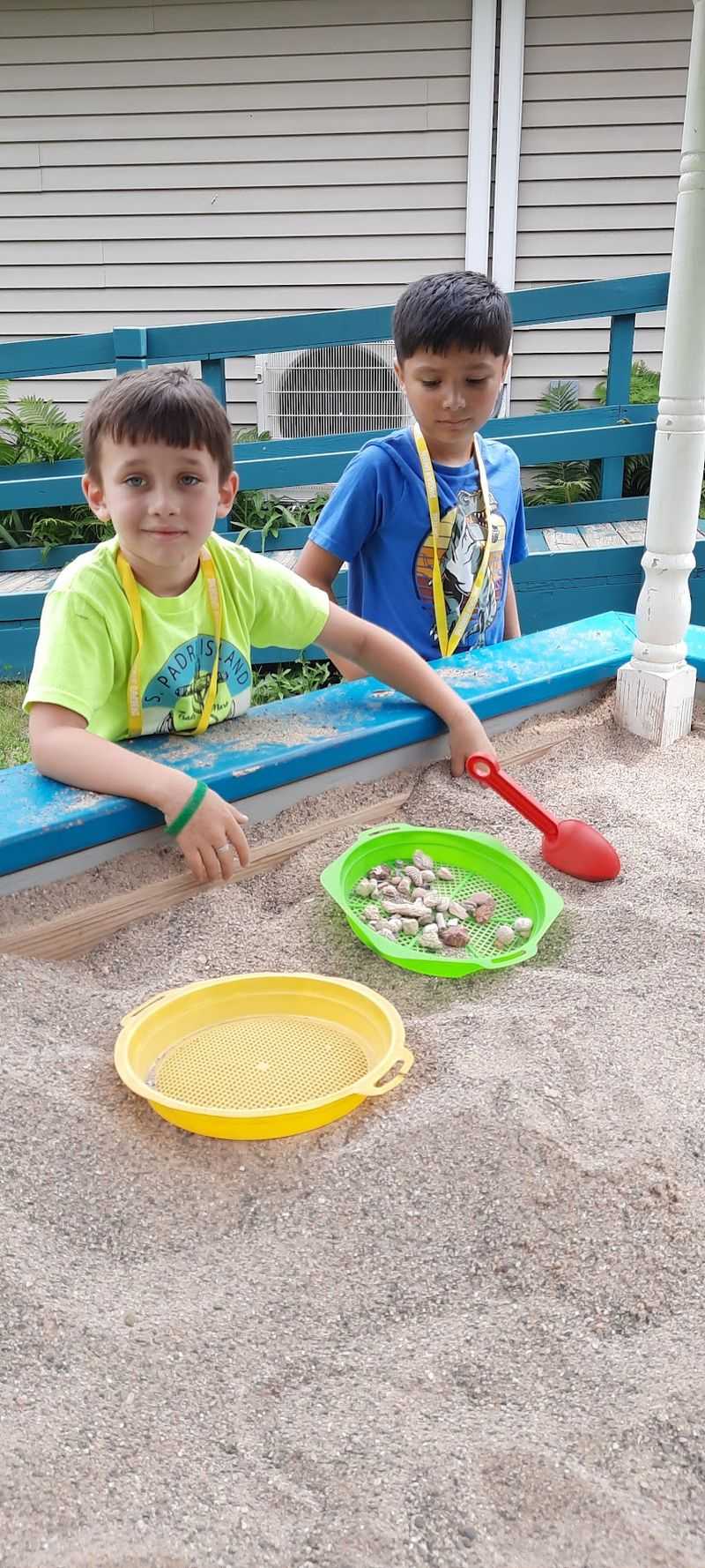 Digging for Fossils in the Sandbox Digging for Fossils in the Sandbox