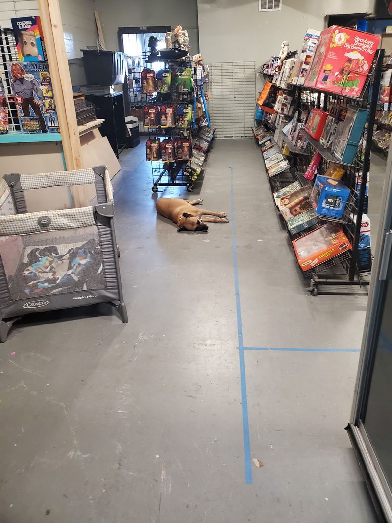Dim Aisles, Big Piles, and a Sleepy Dog or Two Dim Aisles, Big Piles, and a Sleepy Dog or Two