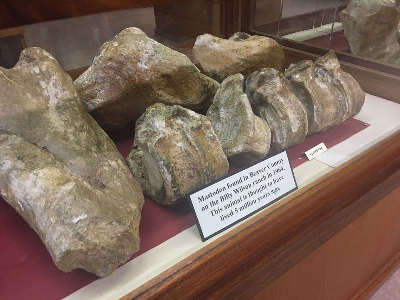Dinosaur Tracks and Fossils From Deep Time
