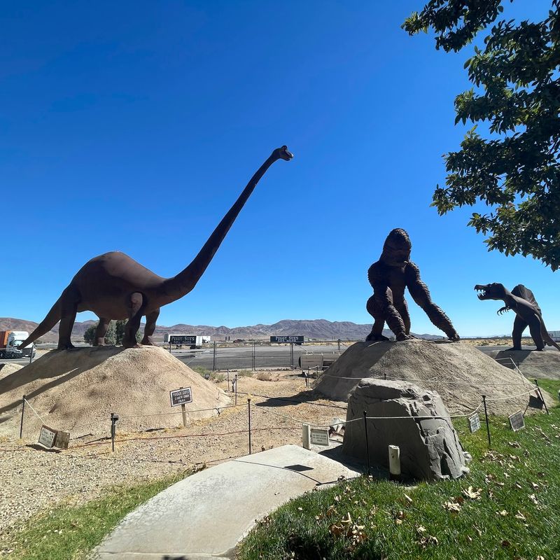 Dinosaurs, Turtles, and a Backyard Park
