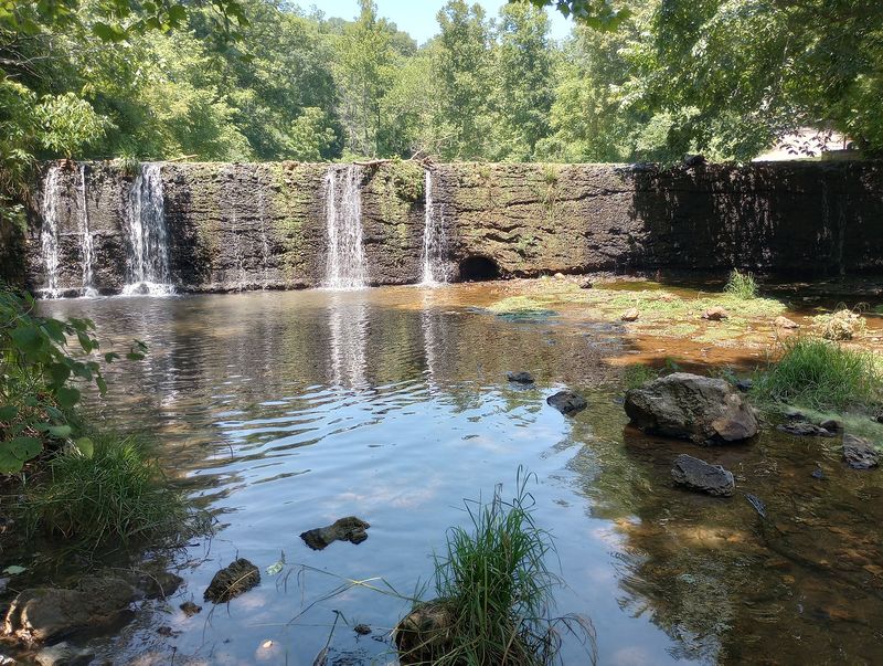 Disc Golf, Picnics and Pet-Friendly Afternoons Disc Golf, Picnics and Pet-Friendly Afternoons