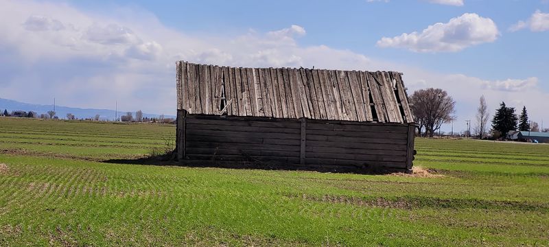 Discover Idaho's Connection to Television in Rigby, Idaho