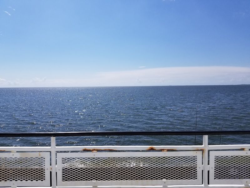 Dolphins, Passing Boats, and Endless Blue Dolphins, Passing Boats, and Endless Blue