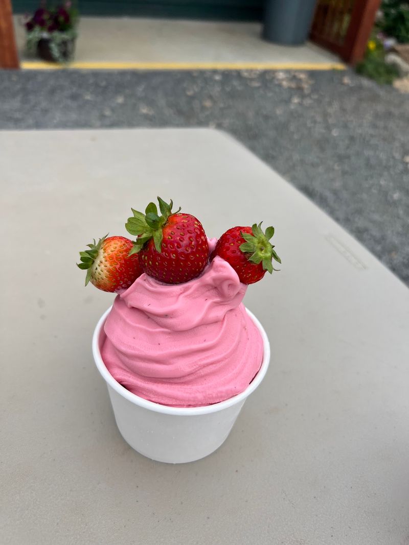 Donuts, Soft Serve, and Farm Cafe Bites Donuts, Soft Serve, and Farm Cafe Bites