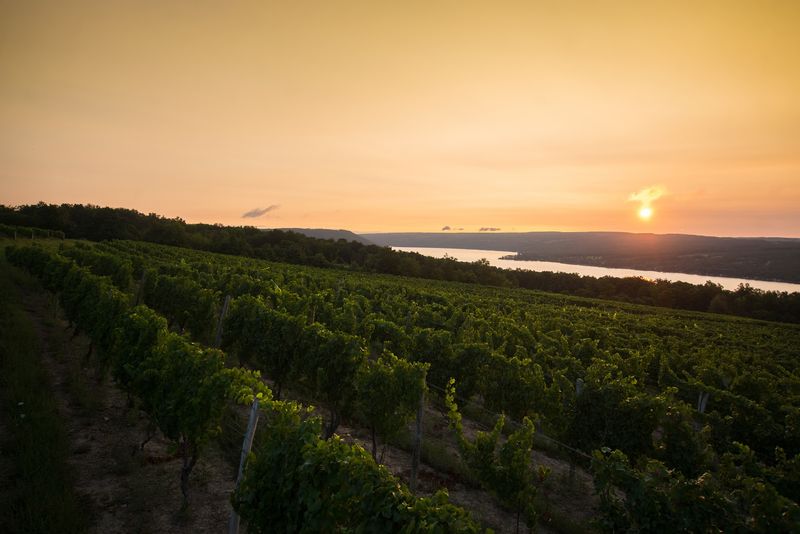Dr. Konstantin Frank Winery, Hammondsport, New York