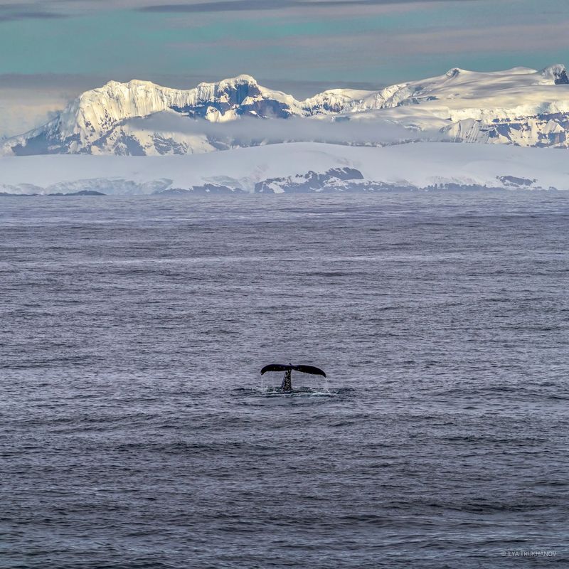 Drake Passage, Between South America and Antarctica