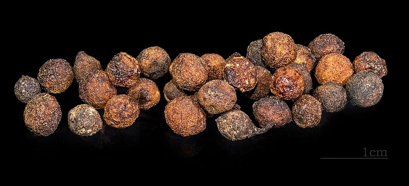 Dried Fruit Dried Fruit