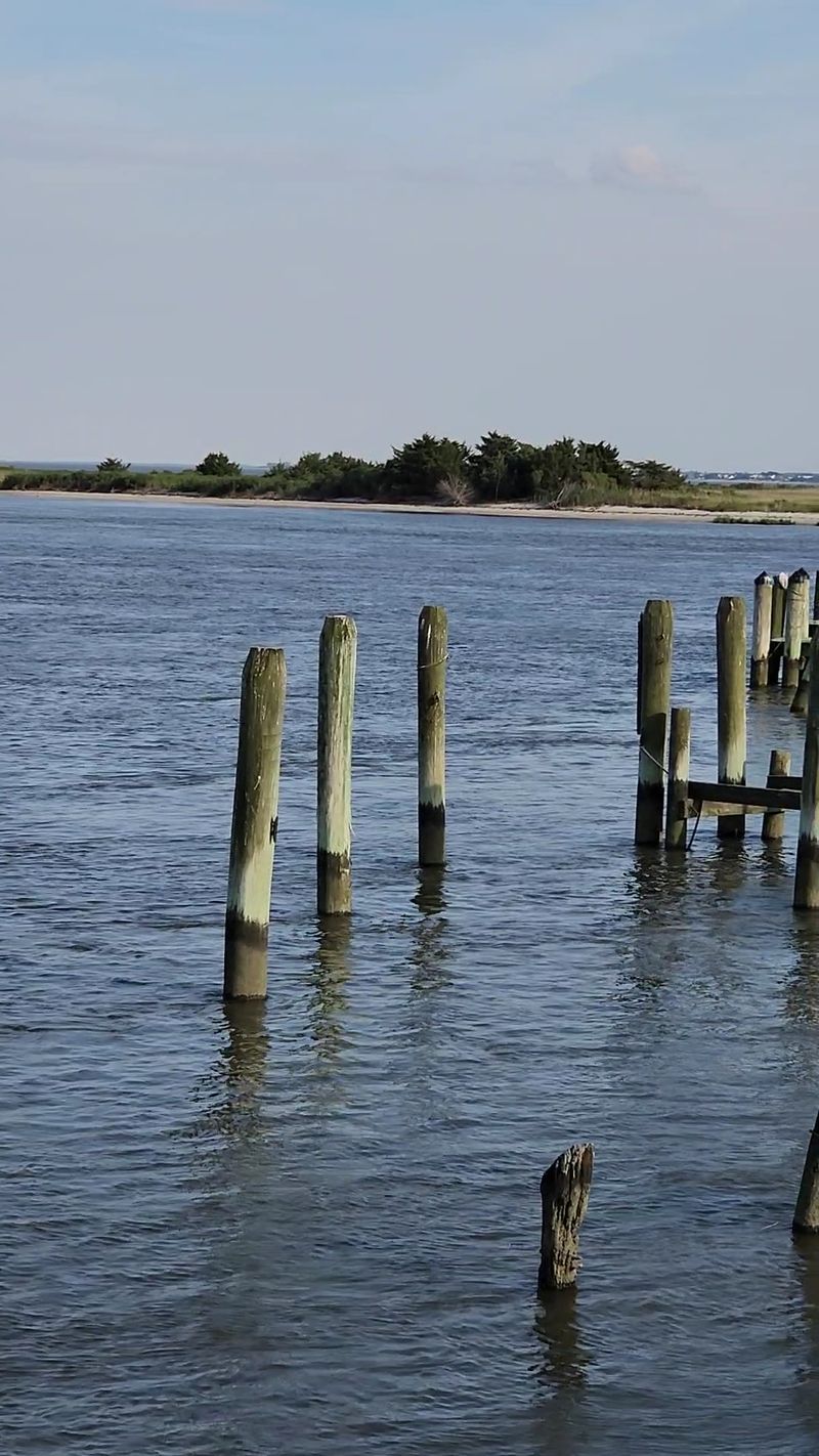 DuPont Nature Center, Milford, Delaware