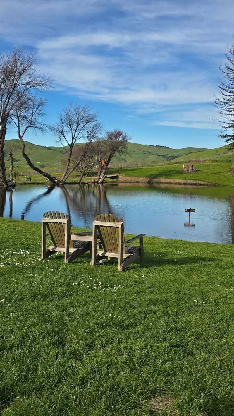 Ducks, a Pond, and Plenty of Picnic Tables Ducks, a Pond, and Plenty of Picnic Tables