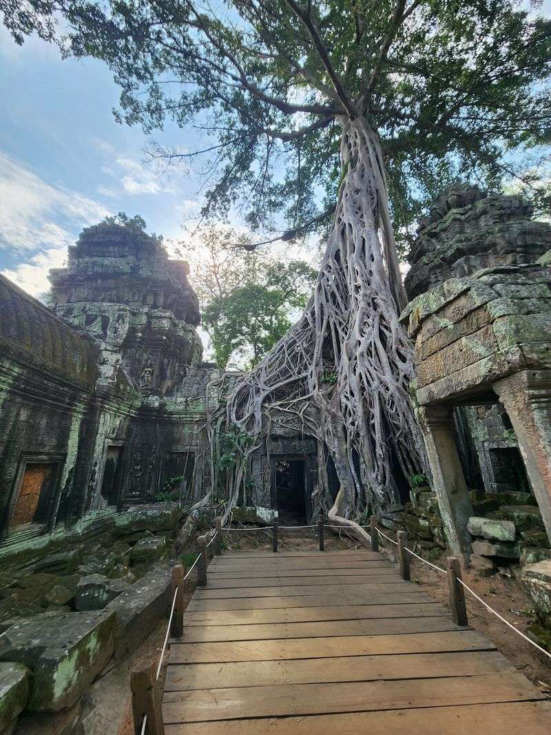 Early Morning Magic