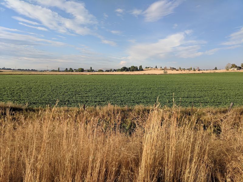Eastbound Through the Farmlands