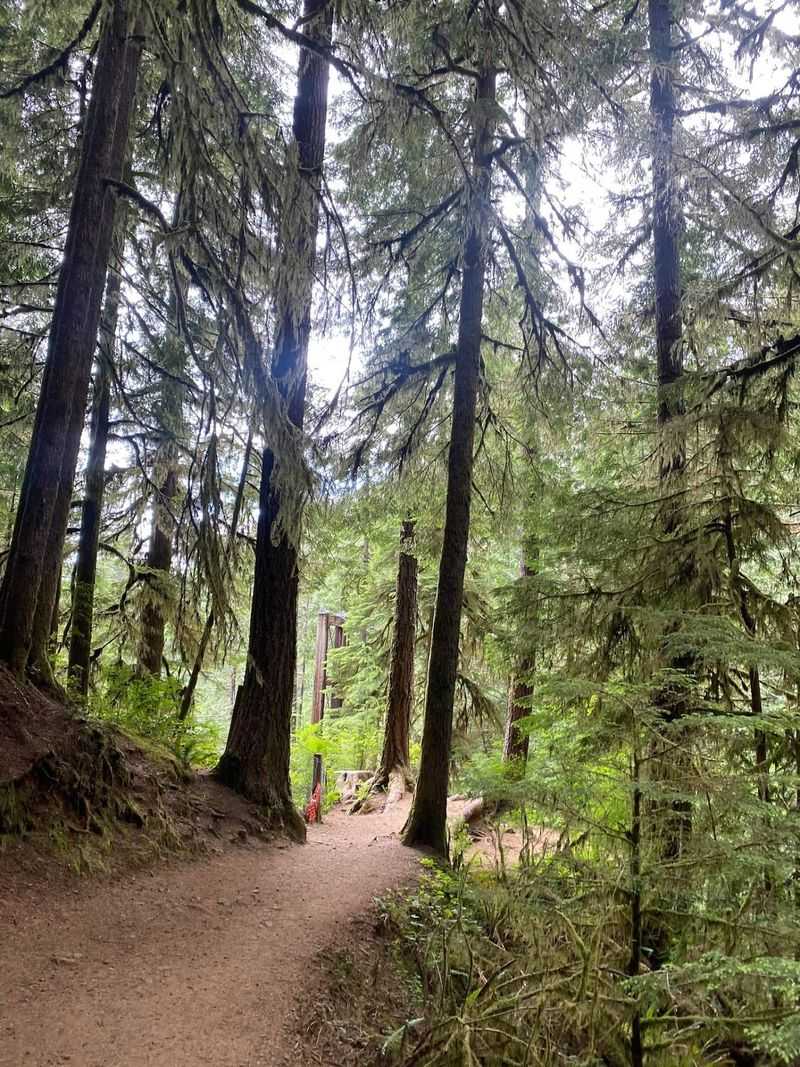 Easy-Does-It on the Trail Itself Easy-Does-It on the Trail Itself