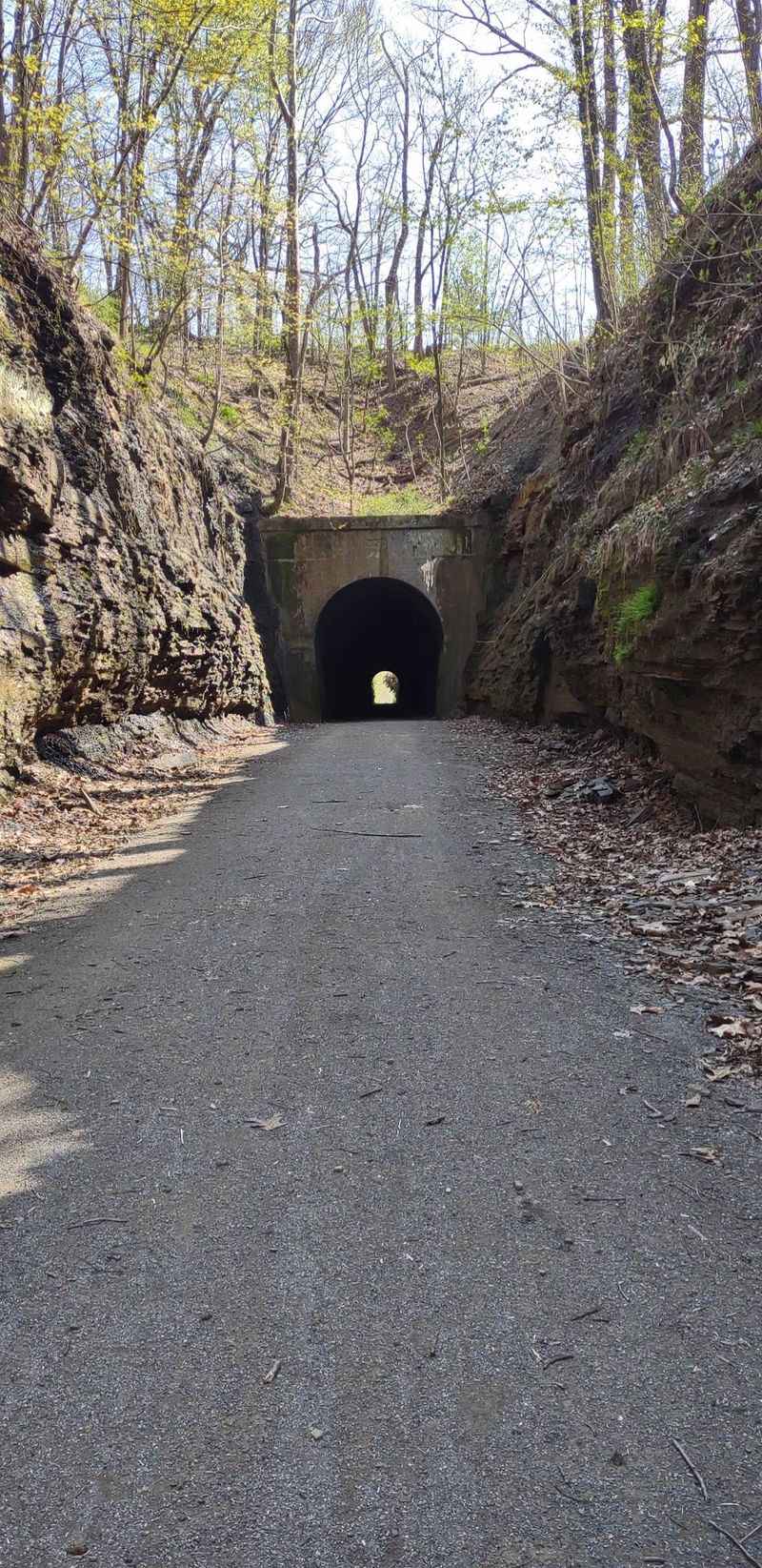 Echoes of the Railroad Days
