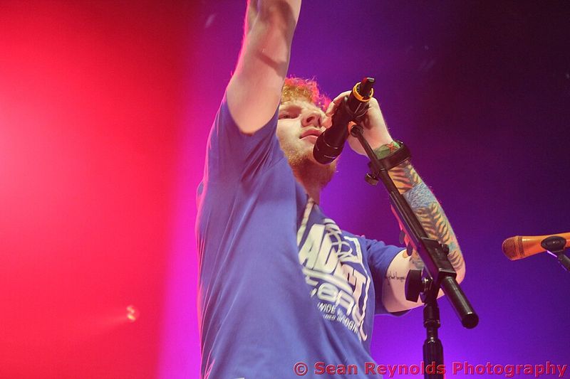 Ed Sheeran: Giant Lion Ed Sheeran: Giant Lion