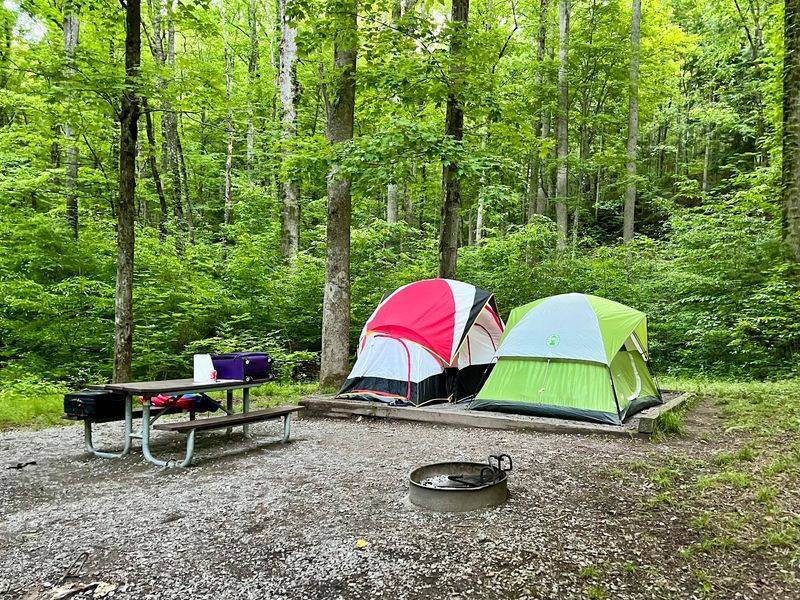 Elkmont Campground, Gatlinburg, TN Elkmont Campground, Gatlinburg, TN