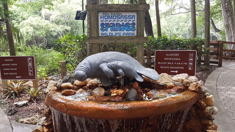 Ellie Schiller Homosassa Springs Wildlife State Park, Homosassa, FL Ellie Schiller Homosassa Springs Wildlife State Park, Homosassa, FL