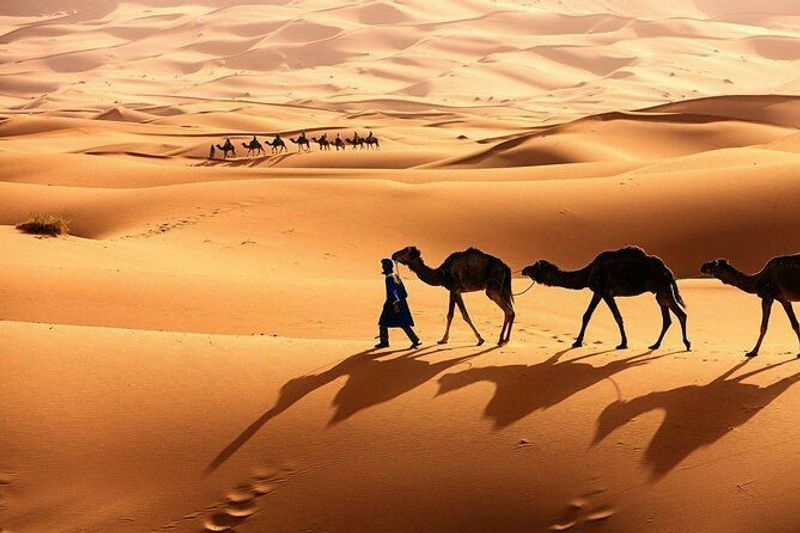 Erg Chebbi Dunes Erg Chebbi Dunes