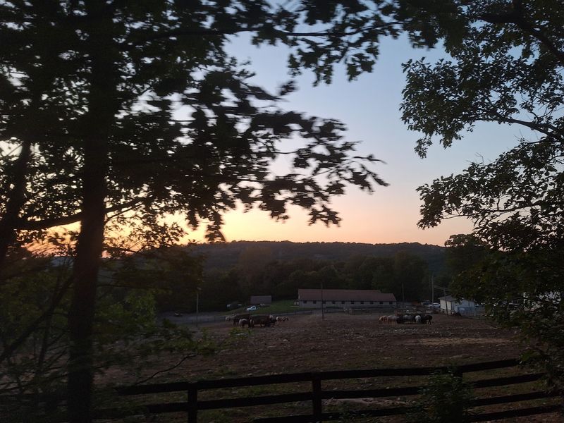 Evening Rides With Extra Activities Evening Rides With Extra Activities