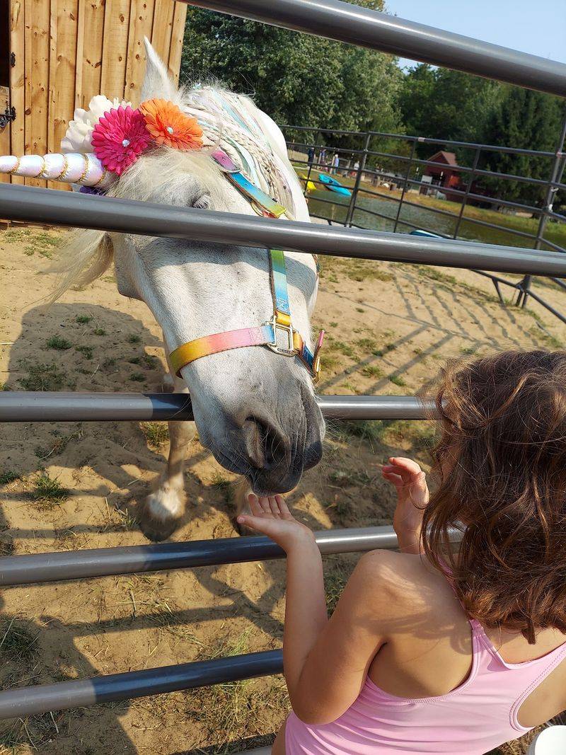 Events, Birthdays, and a Famous Unicorn