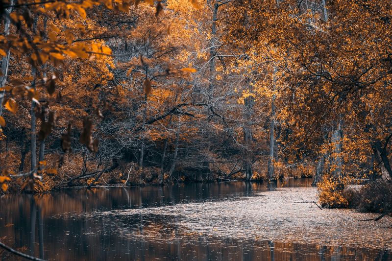 Every Season Tells a Different Story Every Season Tells a Different Story