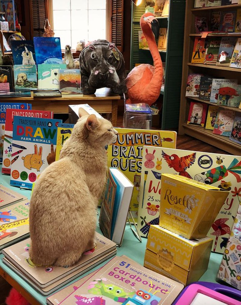 Exploring Iowa Through Its Bookshops