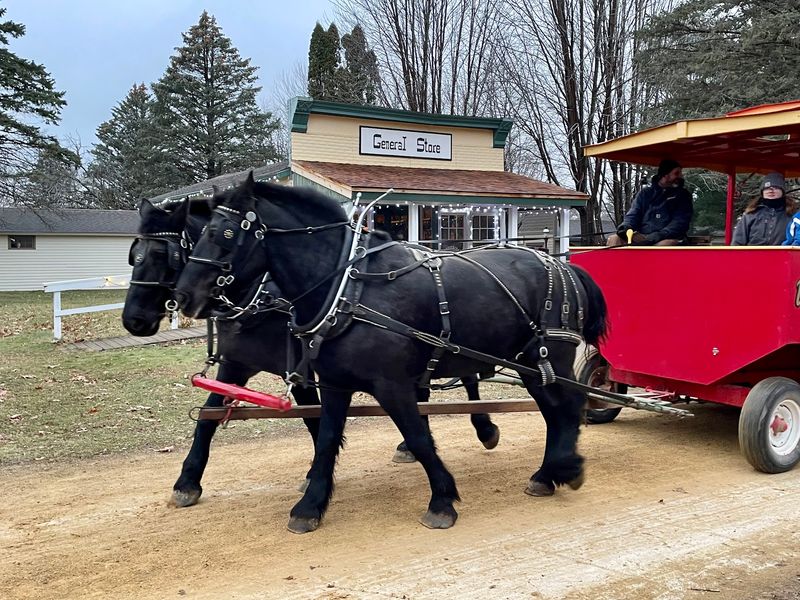 Fair Days Bring the Whole Village to Life