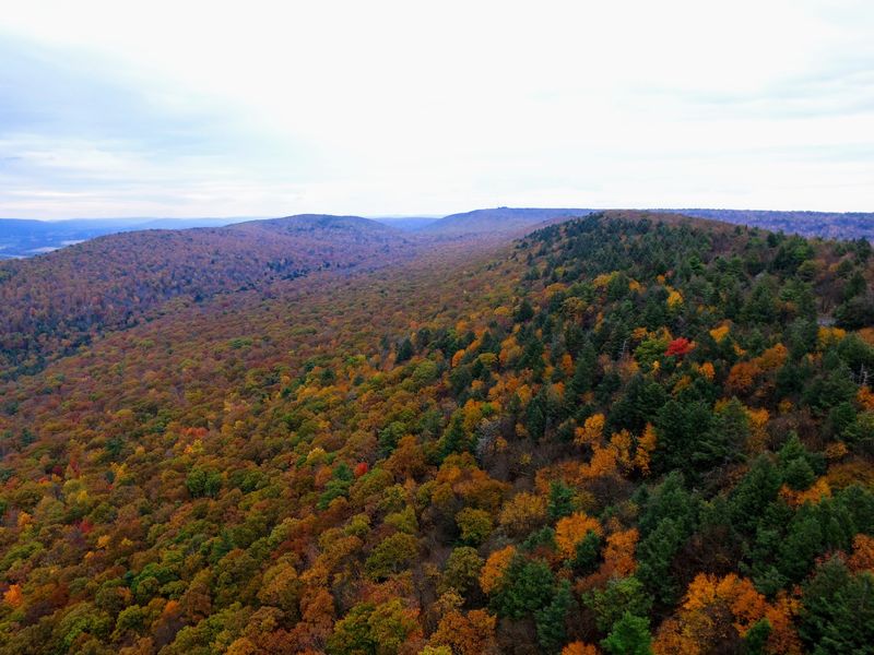 Fall Color and Winter Quiet Fall Color and Winter Quiet