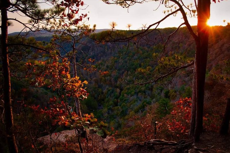 Fall Colors and Sunrise Glow