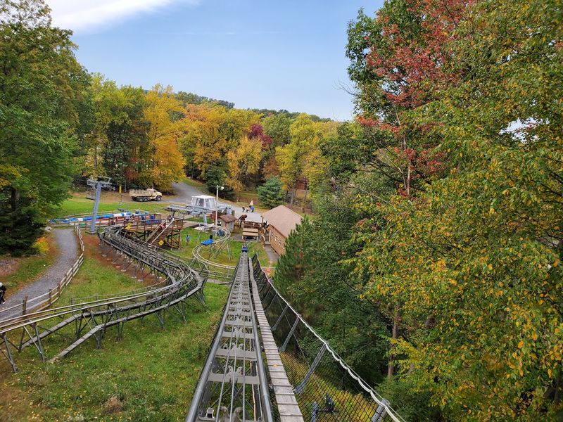 Fall Fest Brings Goats and Golden Hills Fall Fest Brings Goats and Golden Hills