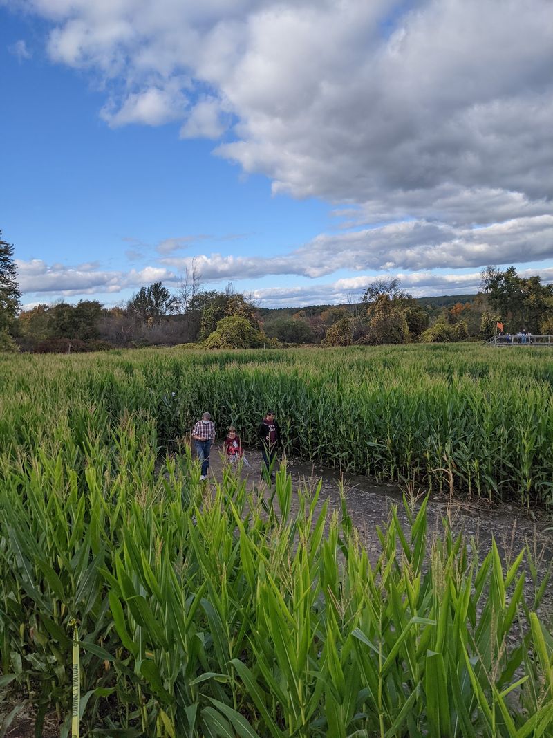 Fall Mazes and Orchard Picking for Autumn Families