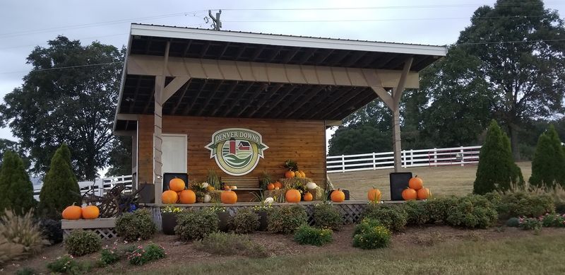 Fall Pumpkins and Hayride Season