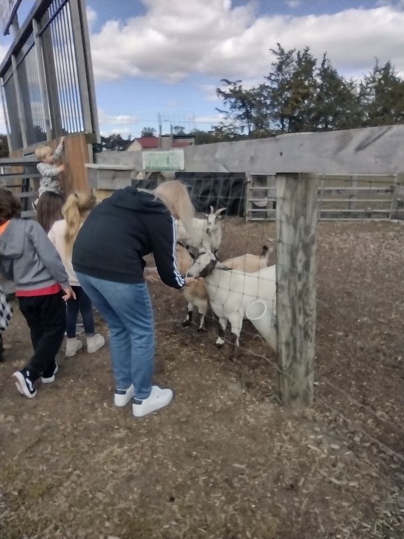 Farm Animals and Family Downtime