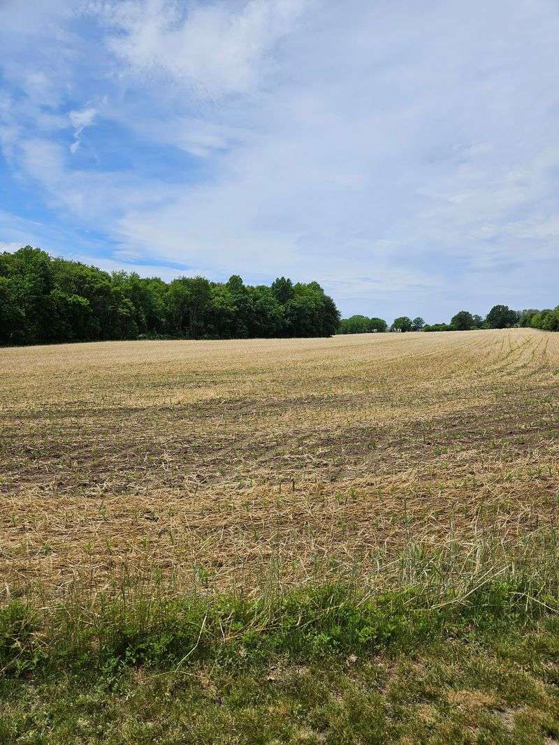 Farmland Along the Ride Farmland Along the Ride