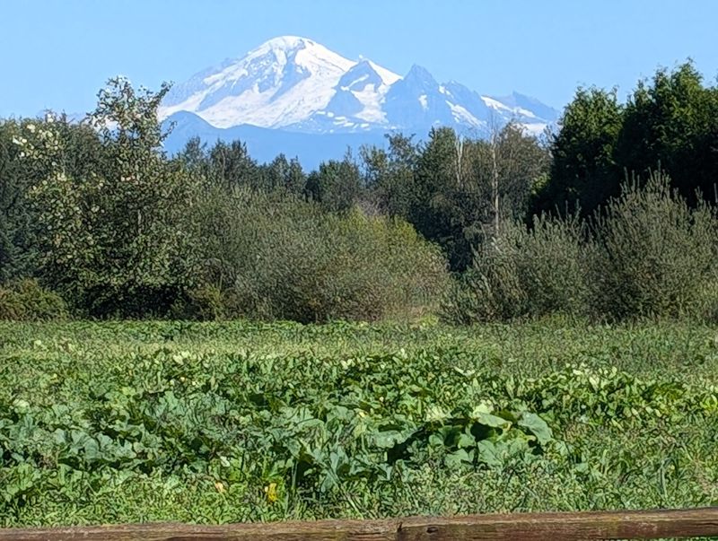 Farmland, Mountain Views, and a Owner Who Loves Apples