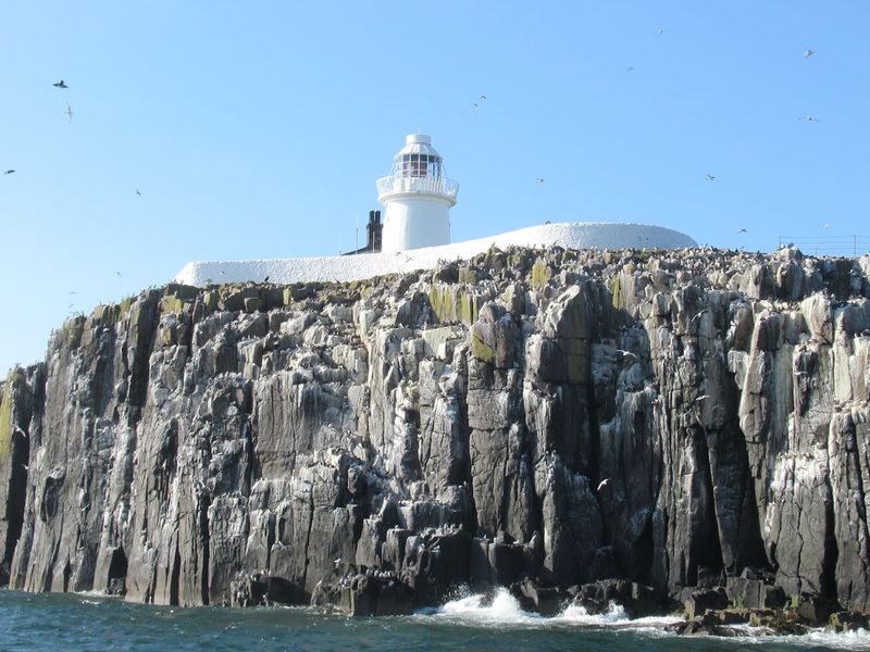 Farne Islands, Northumberland, England Farne Islands, Northumberland, England